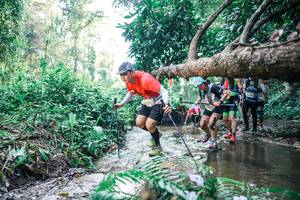 BIB: 
                            <button type="button" onclick="openModal(25452742)" class="btn btn-primary btn-sm float-right btn-popup" data-toggle="modal" data-target=".modal-high-quality">
                        <i class="fas fa-shopping-cart"></i> Add to Cart
                    </button>
                                            <button type="button" onclick="isThisMe(25452742, true)" class="btn btn-success btn-sm float-right btn-popup btn-isme hidden" data-toggle="tooltip" data-placement="bottom" title="นี่คือรูปของคุณใช่ไหม คลิกที่นี่เพื่อเอาเข้าอัลบั้ม">
                        <i class="fas fa-plus"></i> Add to album
                    </button>
                    <button type="button" onclick="isThisMe(25452742, false)" class="btn btn-warning btn-sm float-right btn-popup btn-isnotme hidden">
                        <i class="fas fa-ban"></i> Remove from album
                    </button>